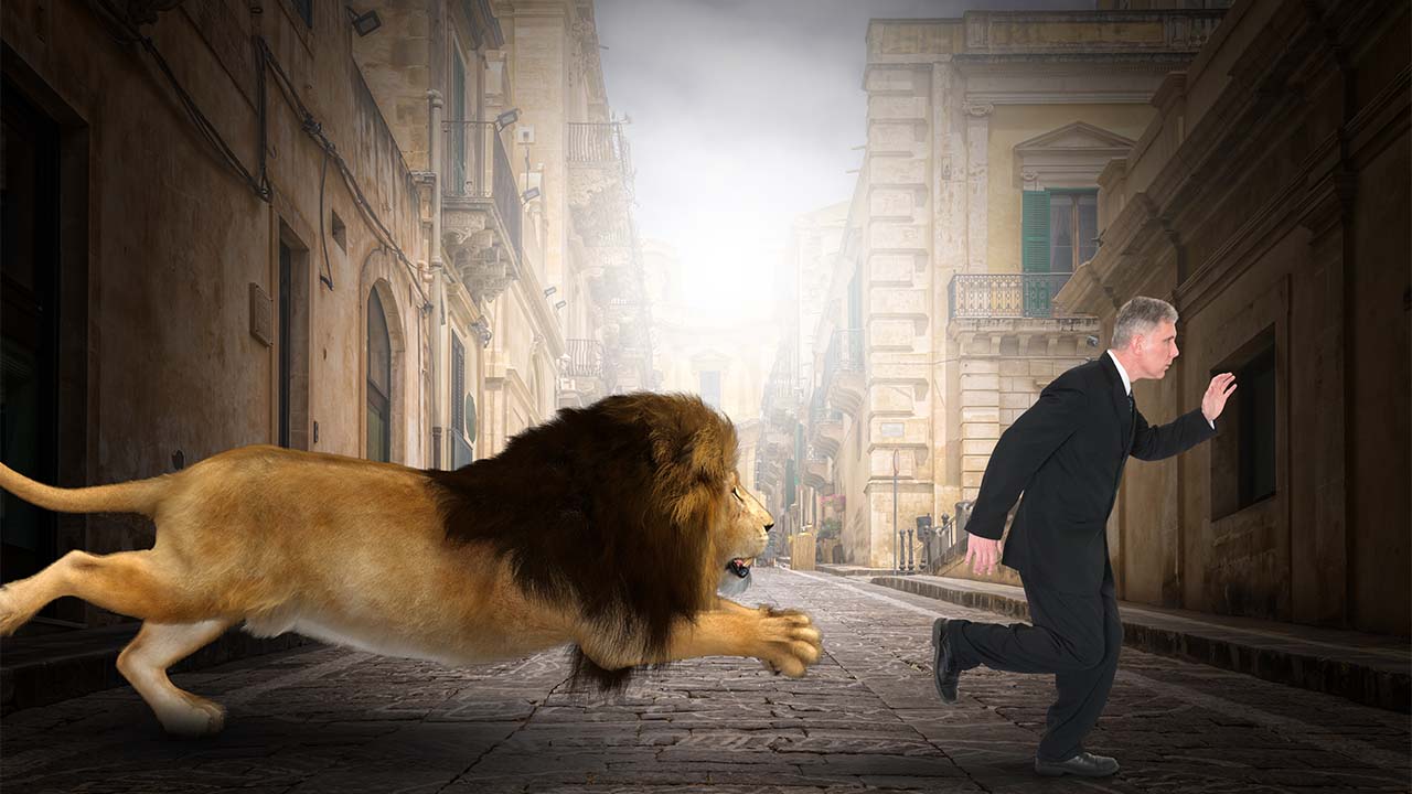 Lion Survival Guide: How To Survive A Lion Attack
