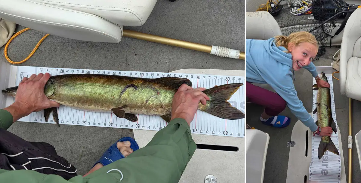 12-Year-Old Girl Sets Muskie Record in Wisconsin