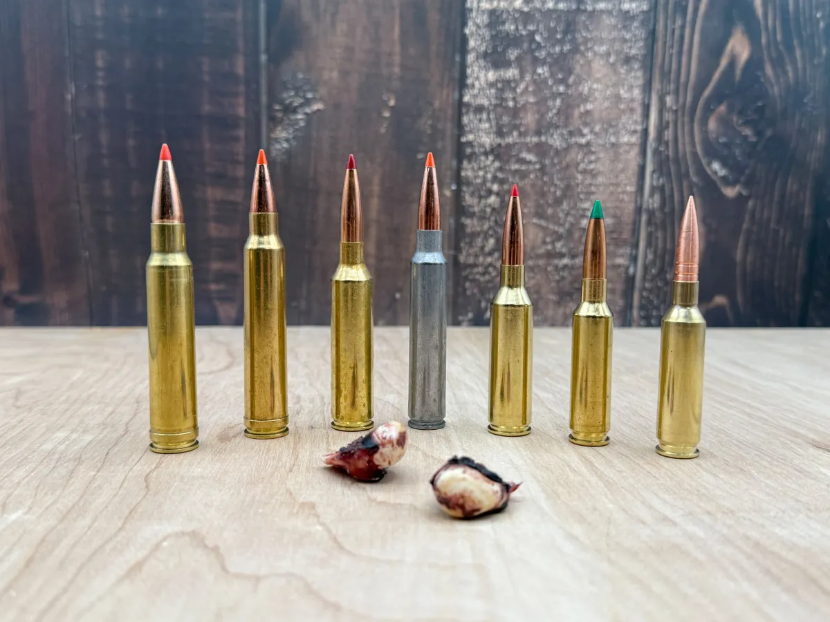 The Best Elk Hunting Cartridges in 2026