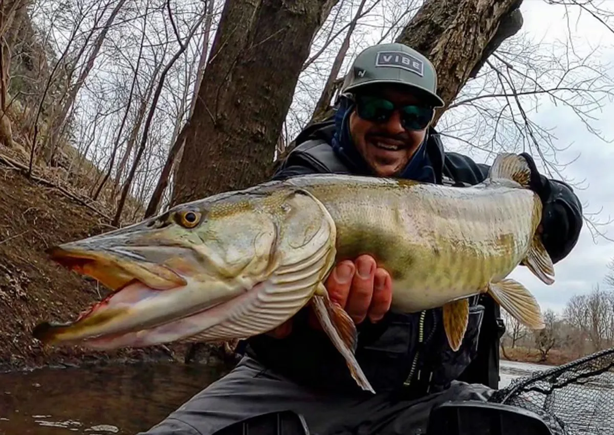 Best Musky Reels of 2026
