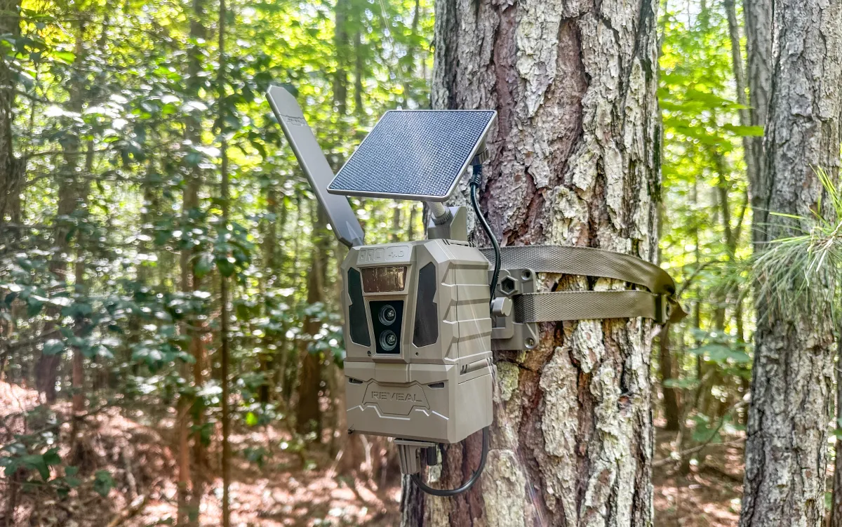 The Best Trail Cameras of 2026, Tested and Reviewed