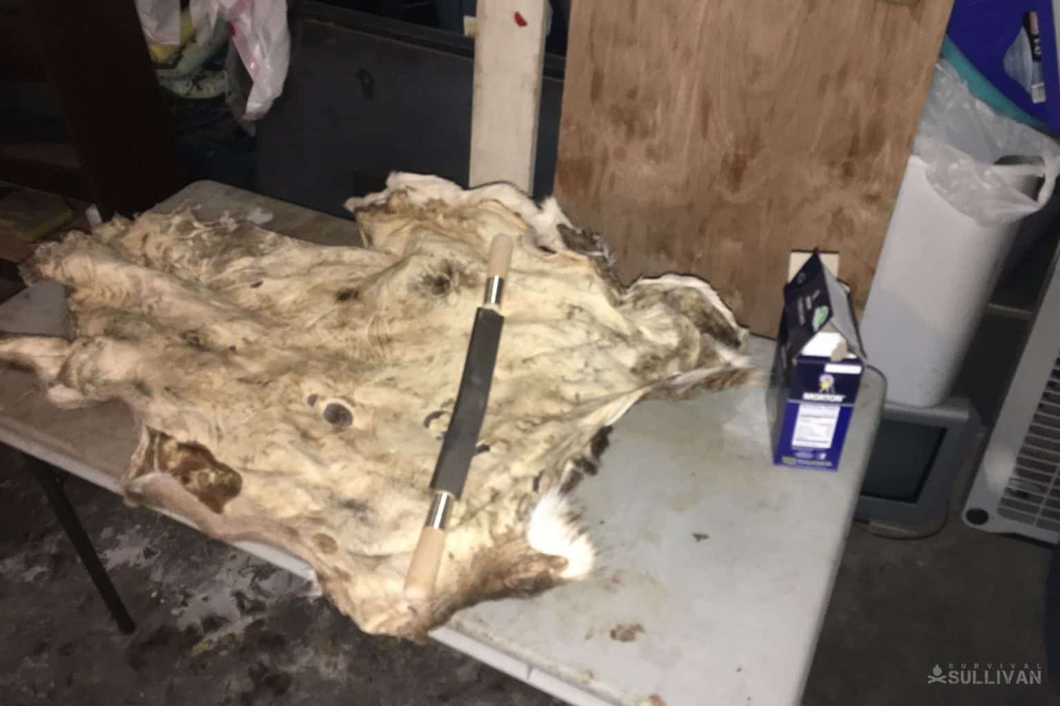 How to Tan a Deer Hide Like a Pro
