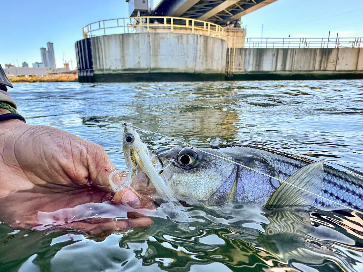 These Are the 4 Best Big Cities for Fishing